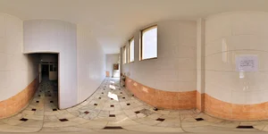 کارخانه لبنیات زالی