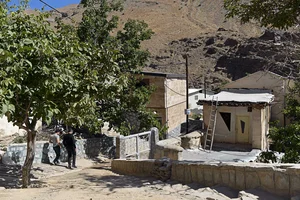 برنج مسیبی