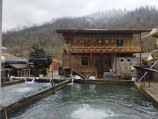 تنیان