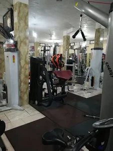 باشگاه بدنسازی و پاورلیفتینگ رضا