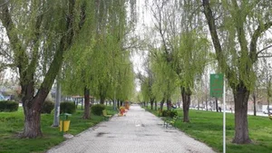 بوستان شبدیز 3