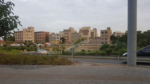 فروشگاه آوا لنز