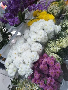 گلفروشی رزجاودان 2