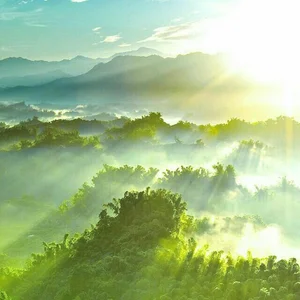 انجمن نیکوتینی های همدان