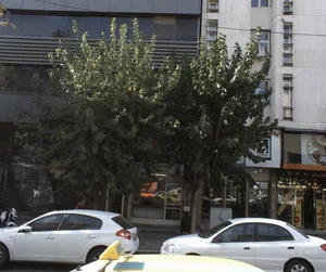 خدمات فنی آزران