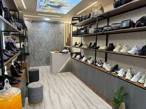 کیف و کفش کفشدوزک 2