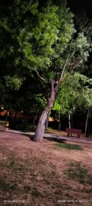 بوستان دشتستان 5