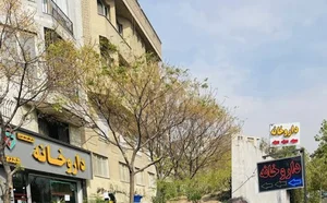 داروخانه مجد جباری