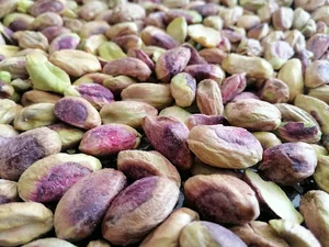 پسته سبزنشان