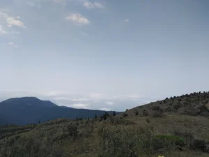 املاک مدرن