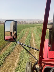 علوفه فروشی رضایی
