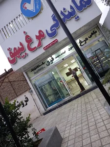 سوپر پروتئین قزی