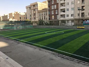 زمین فوتبال رویان
