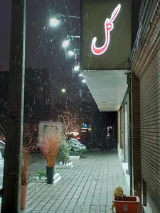 ایرن 2