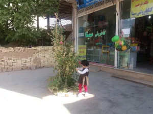 پارک لاله