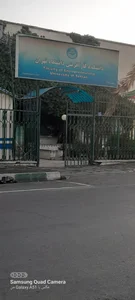 دانشکده کارآفرینی 5