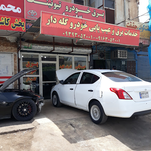 برق اتومبیل گله دار