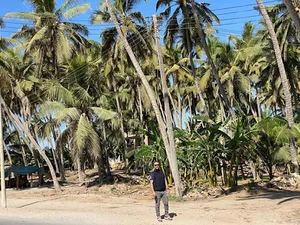 Salalah Al Wusta