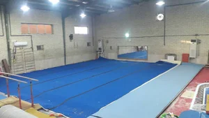 هیأت ژیمناستیک استان بوشهر