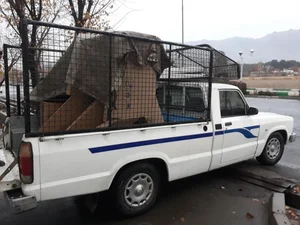 پژو مرکزی ری 5