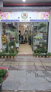 گلسرای ساحل 2