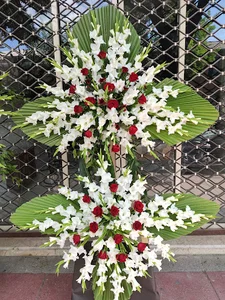 گلسرای نارسیس