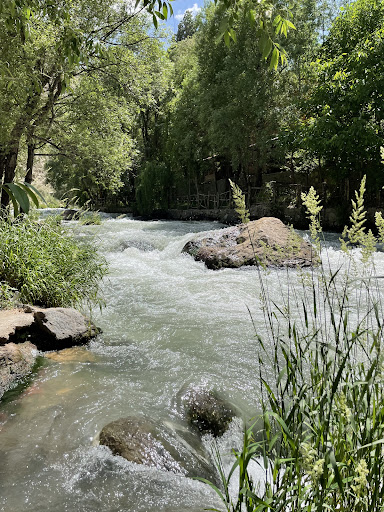 روستای نیاک