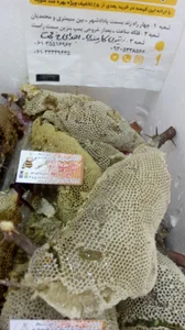 کلبه عسل زند 2