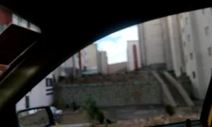 گلخانه صنعتی هیدروپونیک