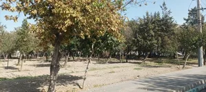 بوستان خلفی 3