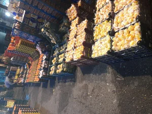 بارفروش ملک زاده 4