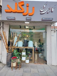 گالری گل رزگلد