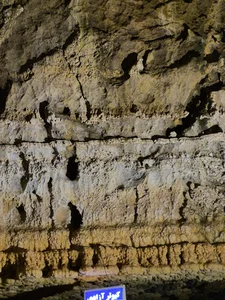 Alisadr cave entry