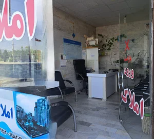 املاک حسینیون