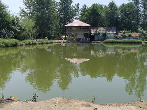 Kolamasa Fishing Club باشگاه ماهیگیری کلامسر
