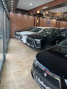 اتو حامیان 2