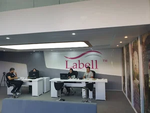 سقف کشسان لابل