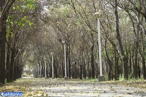 پارک بابا قدرت