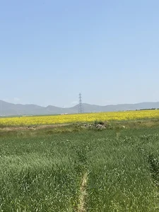 گاوداری صنعتی خرمدره‬‎