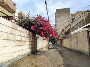 املاک ملل