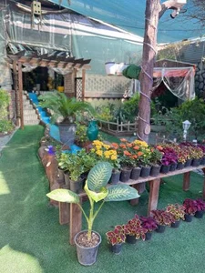 سفره‌خانه سنتی فرحزاد 5