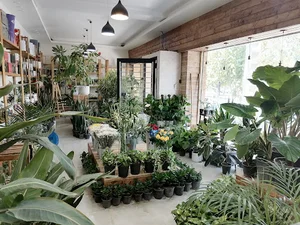 گلفروشی گلبرگ شعبه مالک اشتر