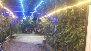 باغ آرامش