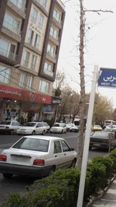 املاک تیموری