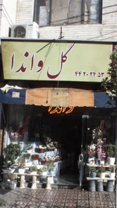 موسسه گل واندا 2