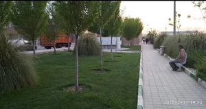 پارک نارون