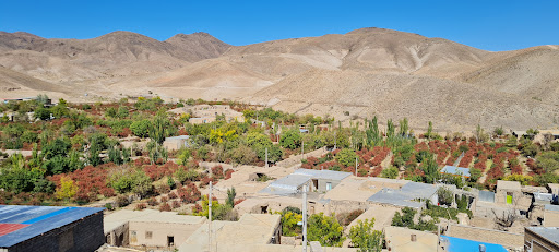 بیمه آسیا