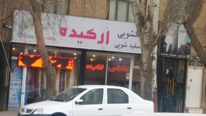 خشک شویی ارکیده