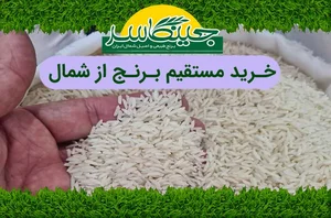 برنج شمال کریمی