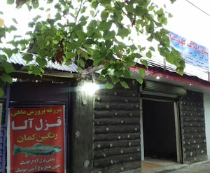 مزرعه پرورش ماهی قزل‌آلا مهندس مهرداد افروز
